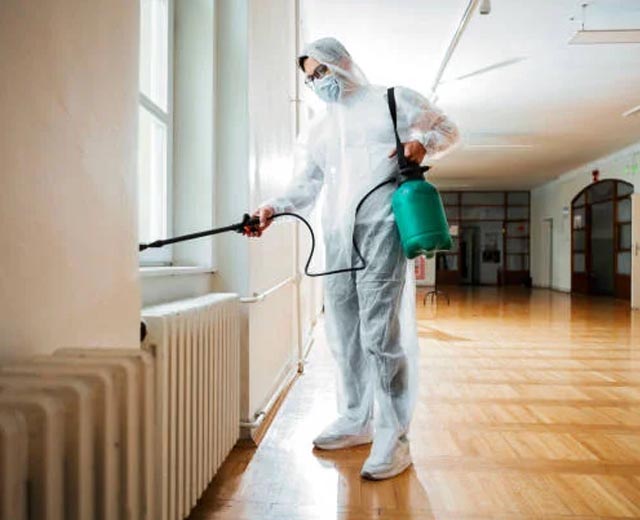 Dératisation par Apex Parasites à Villejuif (94)